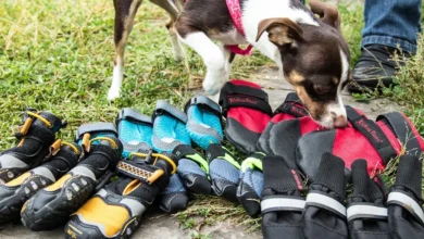 How to choose best dog boots for dogs who have issues with their paws ?
