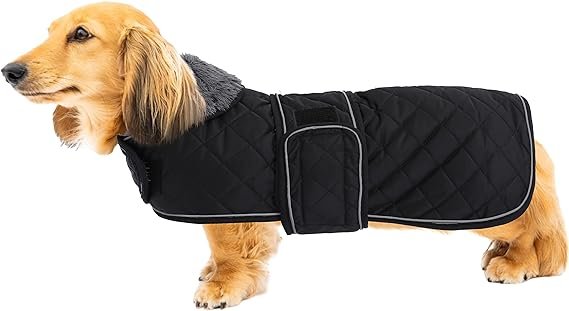 Thermal Quilted Dachshund Coat