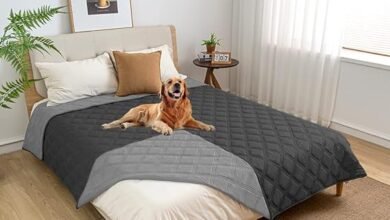 Best dog blankets for large dogs 2024