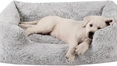 Best dog beds for medium breeds 2024