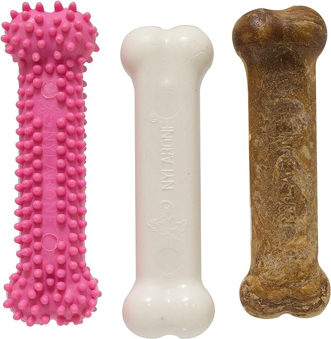 Nylabone Puppy Chew Teething Pacifier Kit 