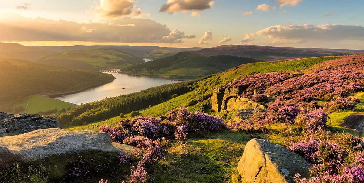 Peak District: Where Canines and Countryside Collide